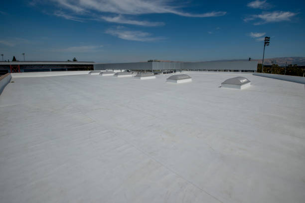 Best Roof Coating and Sealing  in Catasauqua, PA